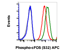 Phospho-c-Fos (Ser32) (BA9) rabbit mAb APC Conjugate