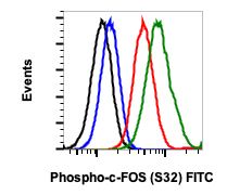 Phospho-c-Fos (Ser32) (BA9) rabbit mAb FITC Conjugate Antibody