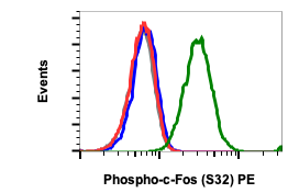 Phospho-c-Fos (Ser32) (BA9) rabbit mAb PE Conjugate Antibody