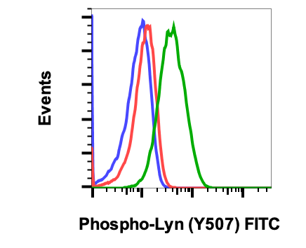Phospho-Lyn (Tyr507) (5B6) rabbit mAb FITC conjugate Antibody