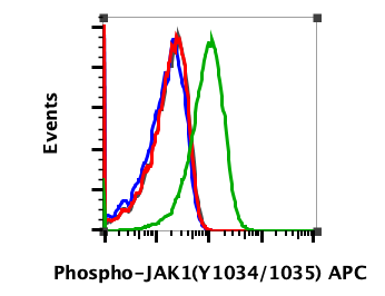 Phospho-Jak1 (Tyr1034/1035) (F11) rabbit mAb APC Conjugate Antibody