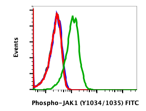 Phospho-Jak1 (Tyr1034/1035) (F11) rabbit mAb FITC Conjugate Antibody