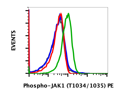 Phospho-Jak1 (Tyr1034/1035) (F11) rabbit mAb PE Conjugate Antibody