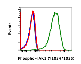 Phospho-Jak1 (Tyr1034/1035) (F11) rabbit mAb Antibody