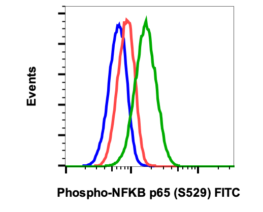 Phospho-NFkB p65 (Ser529) (H3) rabbit mAb FITC conjugate Antibody