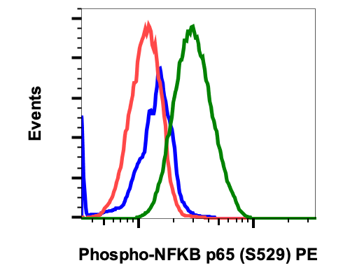 Phospho-NFkB p65 (Ser529) (H3) rabbit mAb PE conjugate Antibody