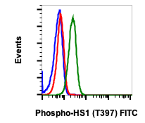 Phospho-HS1 (Tyr397) (F12) rabbit mAb FITC Conjugate Antibody