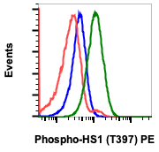 Phospho-HS1 (Tyr397) (F12) rabbit mAb PE Conjugate Antibody