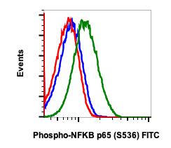 Phospho-NFKB p65 (Ser536) (B7) rabbit mAb FITC Conjugate Antibody