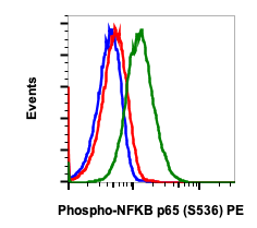 Phospho-NFKB p65 (Ser536) (B7) rabbit mAb PE conjugate Antibody