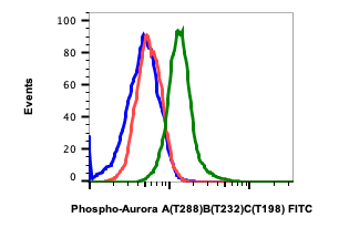 Phospho-Aurora A (Thr288)/Aurora B (Thr232)/Aurora C (Thr198) (CC12) rabbit mAb FITC conjugate Antibody