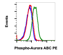 Phospho-Aurora A (Thr288)/Aurora B (Thr232)/Aurora C (Thr198) (CC12) rabbit mAb PE Conjugate Antibody