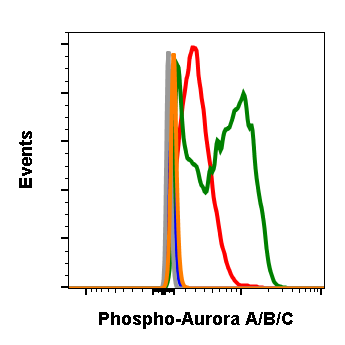 Phospho-Aurora A (Thr288)/Aurora B (Thr232)/Aurora C (Thr198) (CC12) rabbit mAb Antibody