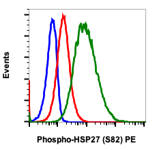 Phospho-HSP27 (Ser82) (CB2) rabbit mAb PE conjugate Antibody