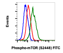 Phospho-mTOR (Ser2448) (E11) rabbit mAb FITC Conjugate Antibody