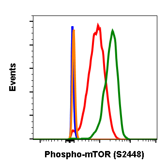 Phospho-mTOR (Ser2448) (E11) rabbit mAb Antibody