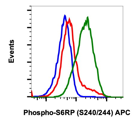 Phospho-S6-Ribosomal Protein (Ser240/244) (CD10) rabbit mAb APC Conjugate Antibody