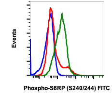 Phospho-S6-Ribosomal Protein (Ser240/244) (CD10) rabbit mAb FITC Conjugate Antibody