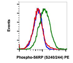 Phospho-S6-Ribosomal Protein (Ser240/244) (CD10) rabbit mAb PE Conjugate Antibody