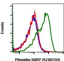 Phospho-S6-Ribosomal Protein (Ser240/244) (CD10) rabbit mAb Antibody