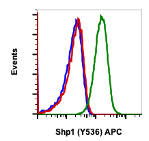 Phospho-Shp1 (Tyr536) (2A7) rabbit mAb APC conjugate Antibody