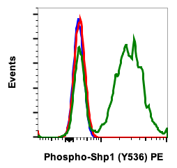 Phospho-Shp1 (Tyr536) (2A7) rabbit mAb PE conjugate Antibody