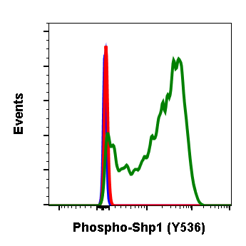 Phospho-Shp1 (Tyr536) (2A7) rabbit mAb Antibody