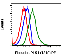 Phospho-PLK1 (Thr210) (C2) rabbit mAb PE conjugate Antibody