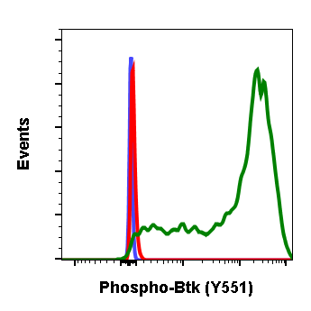 Phospho-Btk (Tyr551) (G12) rabbit mAb Antibody