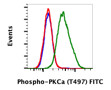 Phospho-PKCa (Thr497) (F1) rabbit mAb FITC Conjugate Antibody