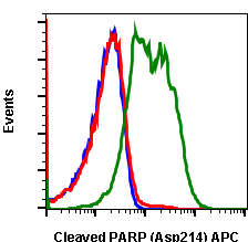 Cleaved PARP (Asp214) (H8) rabbit mAb APC conjugate Antibody