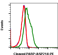 Cleaved PARP (Asp214) rabbit mAb PE conjugate Antibody