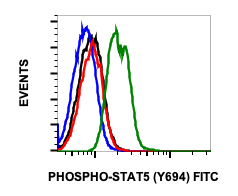 Phospho-Stat5 (Tyr694) (G11) rabbit mAb FITC Conjugate Antibody