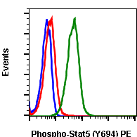 Phospho-Stat5 (Tyr694) (G11) rabbit mAb PE conjugate Antibody