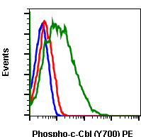 Phospho-c-Cbl (Tyr700) (E1) rabbit mAb PE conjugate Antibody