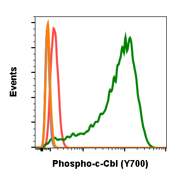 Phospho-c-Cbl (Tyr700) (E1) rabbit mAb Antibody