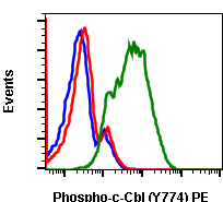 Phospho-c-Cbl (Tyr774) (R3B8) rabbit mAb PE conjugate Antibody