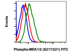 Phospho-MEK1/2 (Ser217/221) (H2) rabbit mAb FITC conjugate Antibody