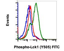 Phospho-Lck (Tyr505) (A3) rabbit mAb FITC conjugate Antibody