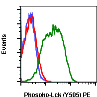 Phospho-Lck (Tyr505) (A3) rabbit mAb PE conjugate Antibody