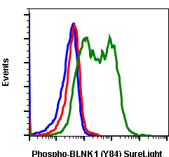 Phospho-BLNK (Tyr84) (H4) rabbit mAb SureLight488 conjugate Antibody