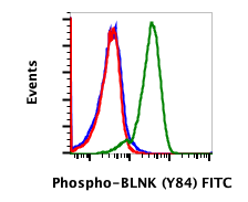 Phospho-BLNK (Tyr84) (H4) rabbit mAb FITC conjugate Antibody