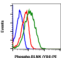 Phospho-BLNK (Tyr84) (H4) rabbit mAb PE conjugate Antibody