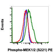 Phospho-MEK1/2 (Ser221) (D3) rabbit mAb PE Conjugate Antibody