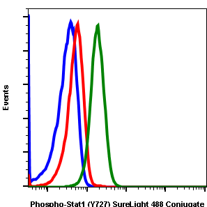 Phospho-Stat1 (Ser727) (C6) rabbit mAb SureLight488 conjugate Antibody