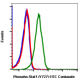 Phospho-Stat1 (Ser727) (C6) rabbit mAb FITC conjugate Antibody