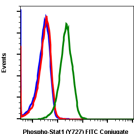Phospho-Stat1 (Ser727) (C6) rabbit mAb FITC conjugate
