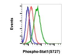 Phospho-Stat1 (Ser727) (C6) rabbit mAb Antibody