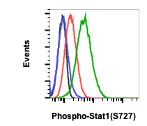 Phospho-Stat1 (Ser727) (C6) rabbit mAb