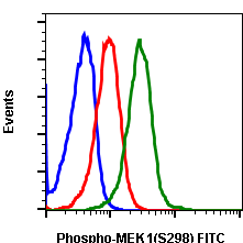 Phospho-MEK1 (Ser298) (H8) rabbit mAb FITC conjugate Antibody